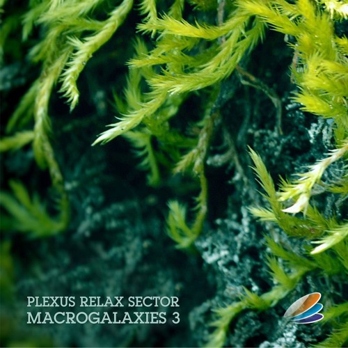 PLX065 VA - Macrogalaxies 3