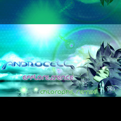 Androcell - Efflorescence (Chlorophil Remix)