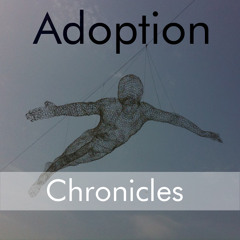 Adoption Chronicles