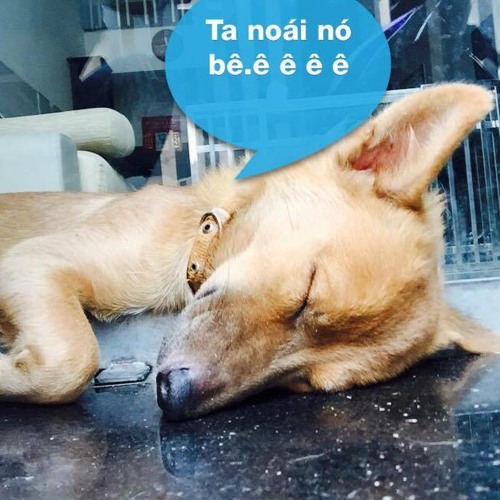 Enjoy Mini Mix 2015 By Dj.Pin79