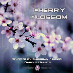 VA Cherry Blossom (Selected by Slobodan & Bongsi) OUT SOON !!!