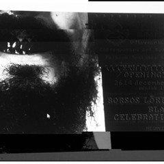 .page. - BORSOS LŐRINC - * BLACK CELEBRATION *