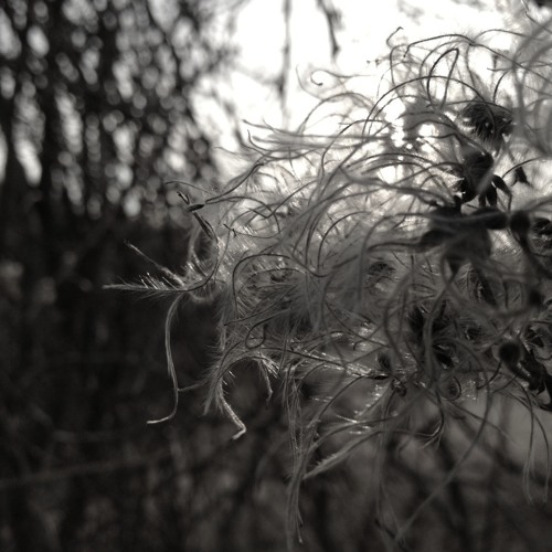 SHM PODCAST #21: Weathered by your ruins mix (All Original Tracks)by Sangam