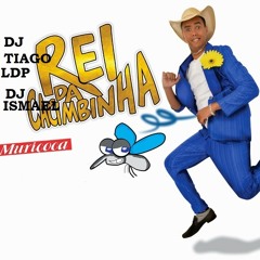 NA POP 100-O REI DA CACIMBINHA( DJ TIAGO LDP  E DJ ISMAEL MPC)