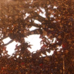 the bloom (demo version) no solo