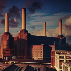 Sheep - Pink Floyd (alternate version)