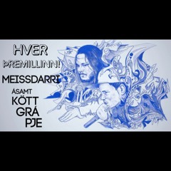 Hver Þremillinn! Ft. Kött Grá Pje