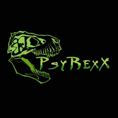 PsyRexX - Schorschi goes Hi-Tech