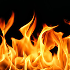 Freestyle Collage (PBC)