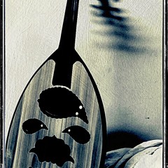 (يطير الحمام مارسيل(مصطفى نوح