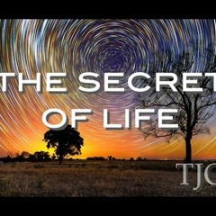 The Secret Of Life - By Alan Watts
