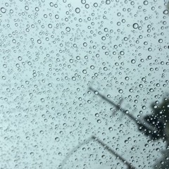 rainy barz