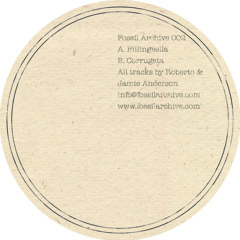 Roberto & Jamie Anderson - Corrugata [Fossil Archive 002B]