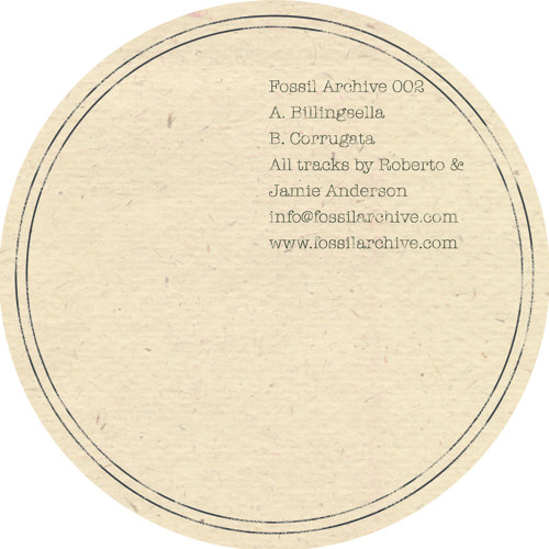 Roberto & Jamie Anderson - Corrugata [Fossil Archive 002B]