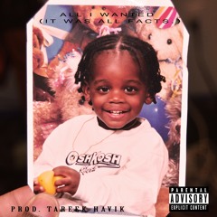 All I Wanted (It Was All Facts) (Prod. Tareek Havik)