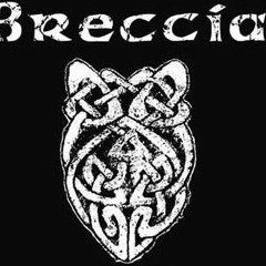 Breccia - Shadows (Johnny Jitters RMX)