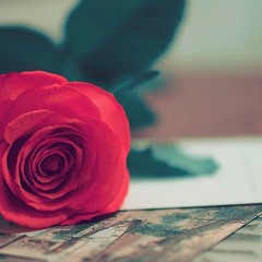 ♥Profound love♥