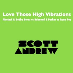 Love Those High Vibrations (Scott Andrew Bootleg)