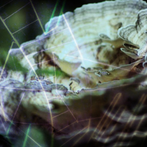 Crests Of Waves - Coldplay cover