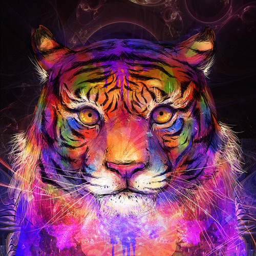 tigre demo
