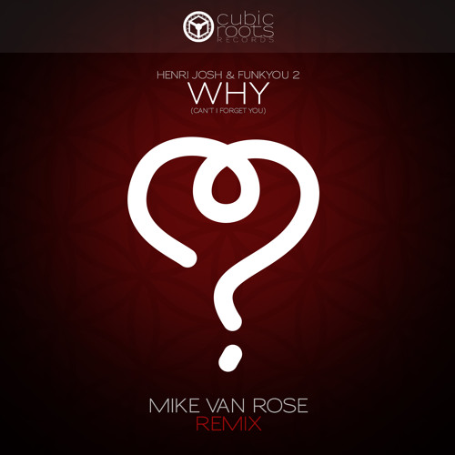 Henri Josh & Funkyou2 - Why (Mike Van Rose Remix)