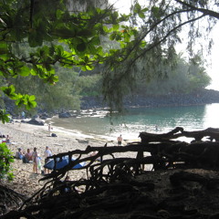 Steve Aoki & Moxie - I Love It When You Cry (ZVNE REMIX)