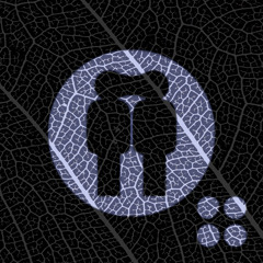 miko snapshot #4 -> gas