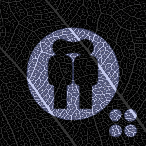 miko snapshot #4 -> gas