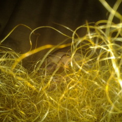 it's a middle school