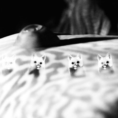 Some Call Him Great Dane