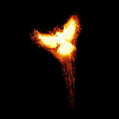 Nourma-Phoenix