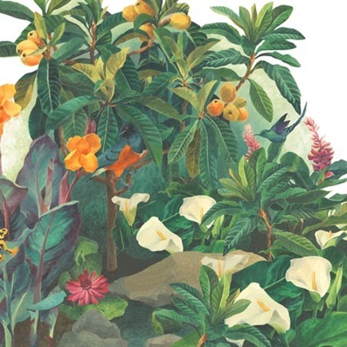 Lounge Act (early mix)