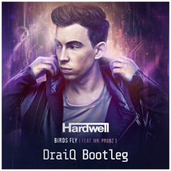 Hardwell Ft. Mr. Probz - Birds Fly (DraiQ Bootleg)