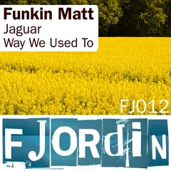 Funkin Matt - Way We Used To