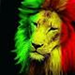 riddim