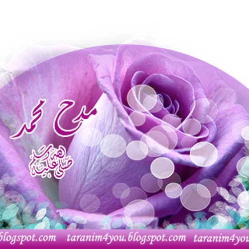 قصيدة مدح الرسول