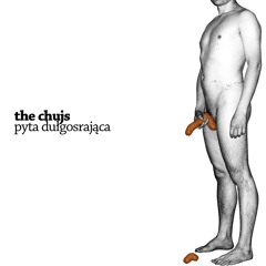 Płyta Długogrająca