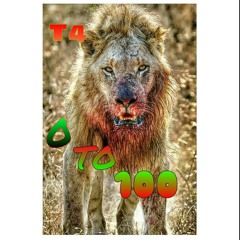 T4-0 to 100 freestyle