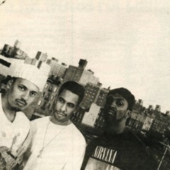 The Beatnuts - Do You Believe (King P Pete Remix)