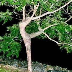 Dil Mein Aag Lagaye Saawan Ka Mahina ................. Alag Alag