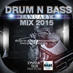 Drum N Bass - January Mix 2015 - DJ Tinytune B2B DNBMC
