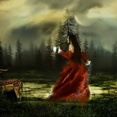 Timo Vs Chris Liebing - DJ Miss Phoenix & R.I.C.K. NIKS - AAN Mashup