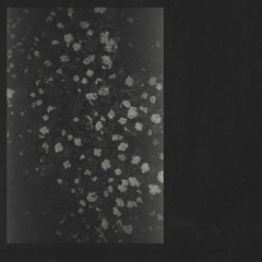 Motorama - Similar Way