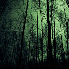 By His Grace and His Love