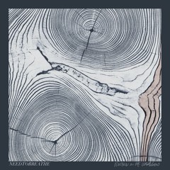 Multiplied (Mikey Reaves Remix)