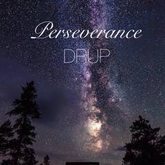 Perseverance