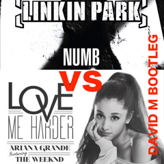 Ariana Grande Vs Linkin Park - Love Me Numb (David M Bootleg)