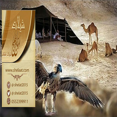 شيلة هيئة التمريض اداء المنشد ماهر تنفيذ شيلات امواج الخليج 0552399911