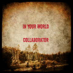 In your world ~ Collaborator ~ Jungala Recordings
