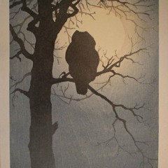 Neil Carlill - The Midnight Owls (Home demo)